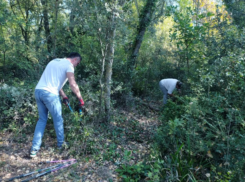 octobre 2025 - nettoyage et entretient du site pilote des gravières - 2