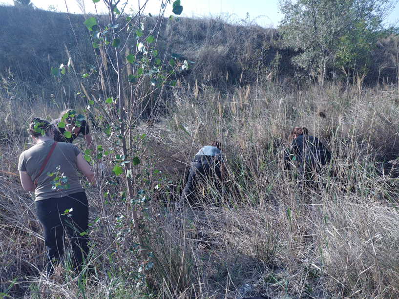 octobre 2025 - nettoyage et entretient du site pilote des gravières